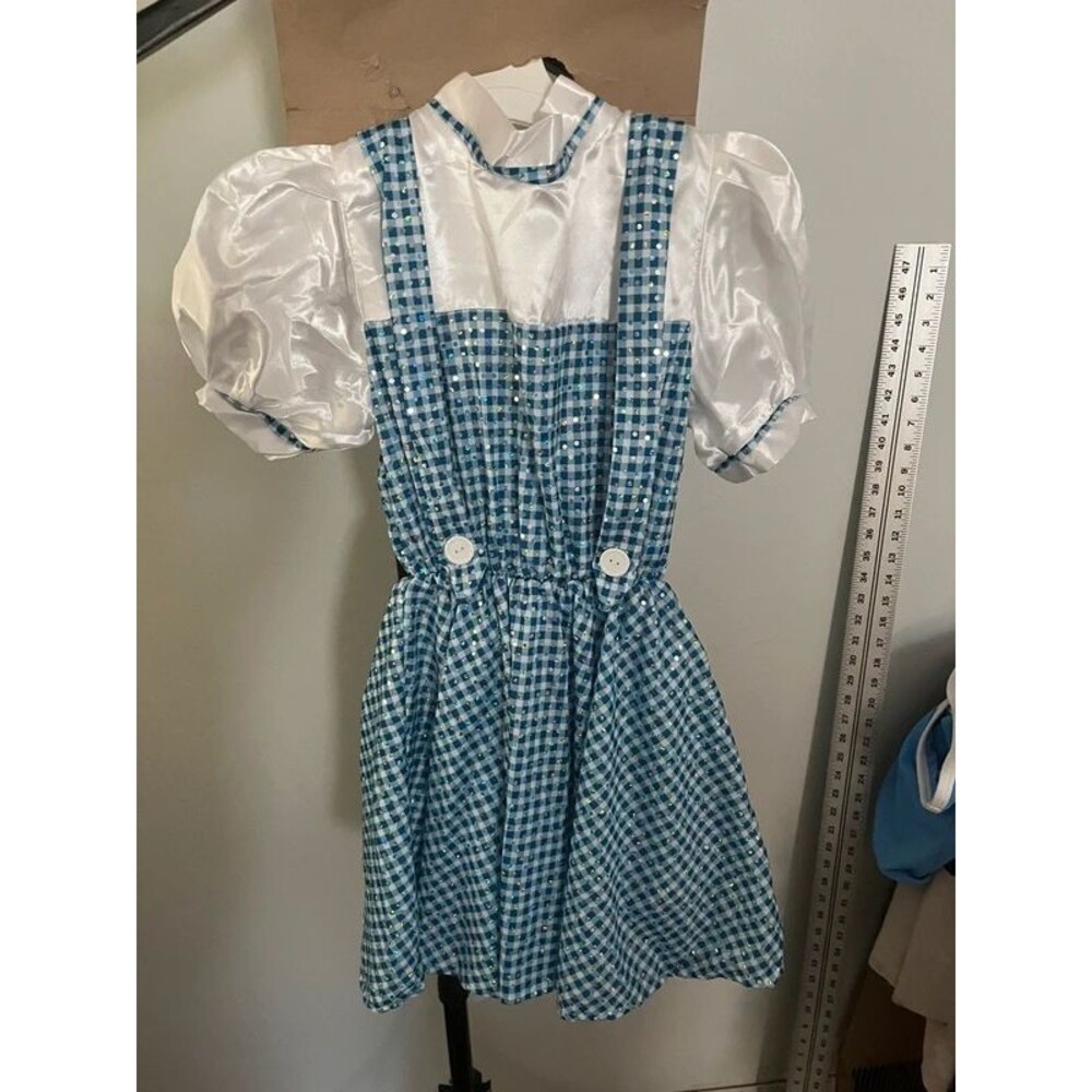 Sparkly Dorothy costume